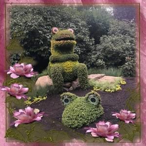 Meet your Posher, Caroline